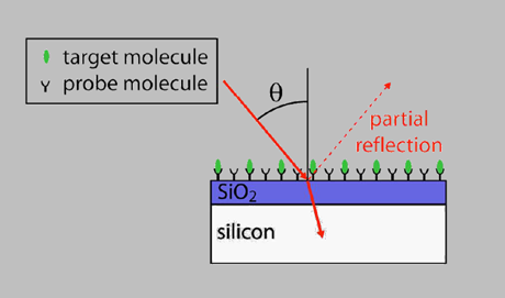 Si-Si02 chip with unlabeled pathogens